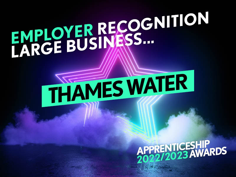 Employer Recognition Award - Large Business