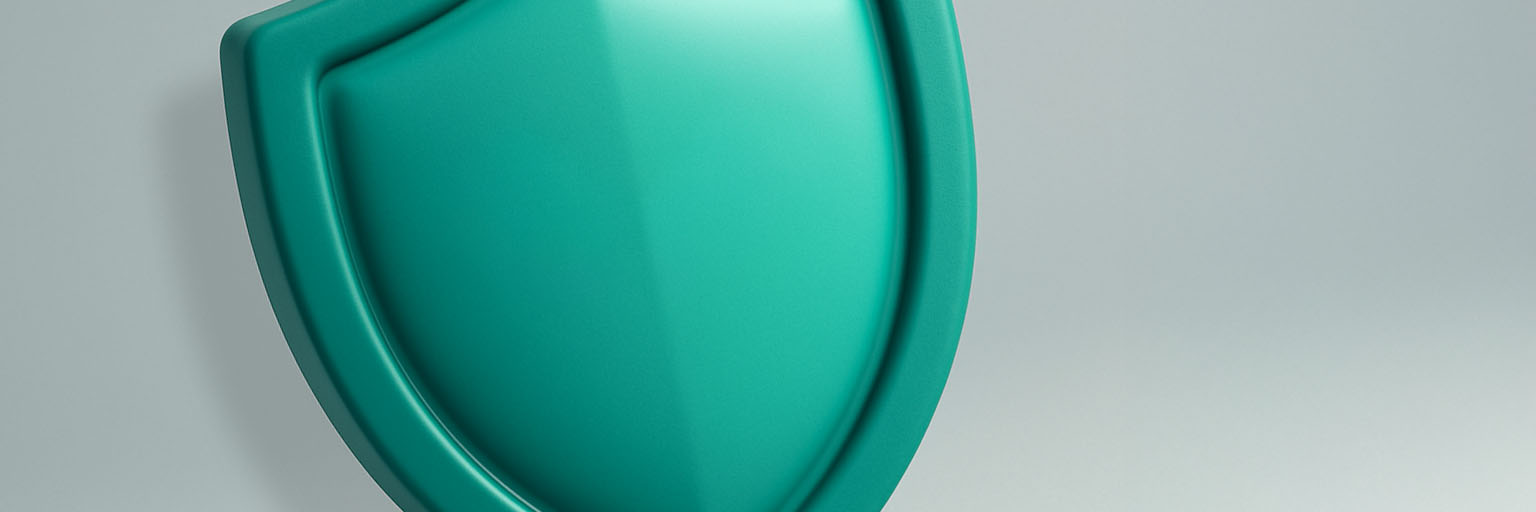 Safeguarding shield