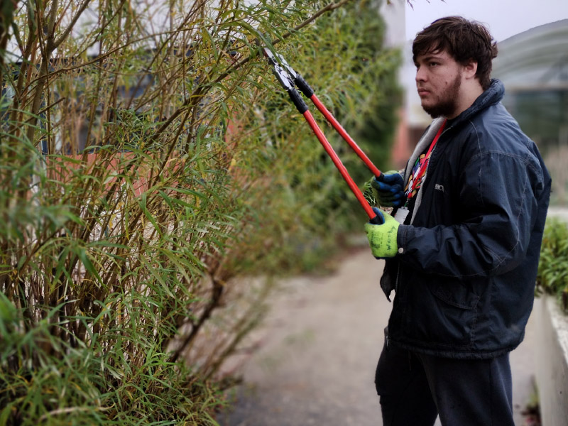 Young man working in a garden