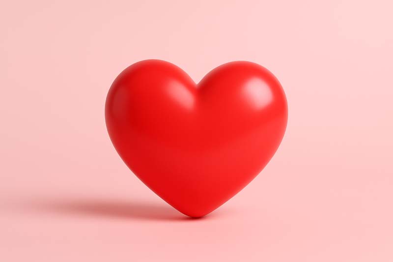 Heart